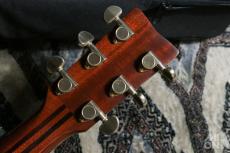 YAMAHA LS16 ARE 2016_9