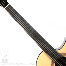 Greenfield Guitars G2_5