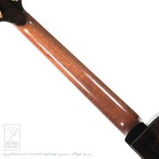 Greenfield Guitars G2_6
