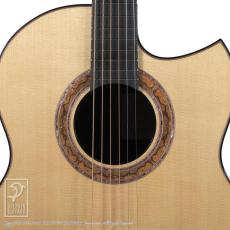 Greenfield Guitars G2_12