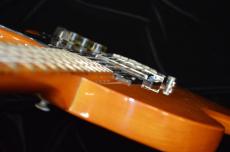 Gibson L6-S_11