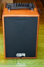 GR Guitar WD Acoustic 8