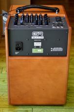 GR Guitar WD Acoustic 8_3