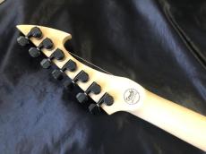 ORMSBY GUITARS HYPE G7 FLOYD MH TB_9