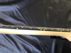 ORMSBY GUITARS HYPE G7 FLOYD MH TB_10