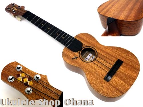 Tatsuya Mitsui [三井達也] [TypeR]ミディアム アフリカンマホガニー #544