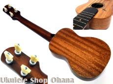 Tatsuya Mitsui [三井達也] [TypeR]ミディアム アフリカンマホガニー #544_2