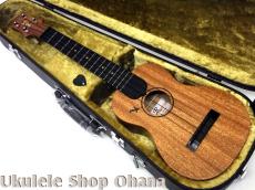 Tatsuya Mitsui [三井達也] [TypeR]ミディアム アフリカンマホガニー #544_5