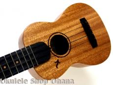 Tatsuya Mitsui [三井達也] [TypeR]ミディアム アフリカンマホガニー #544_6