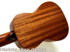 Tatsuya Mitsui [三井達也] [TypeR]ミディアム アフリカンマホガニー #544_7