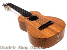 Tatsuya Mitsui [三井達也] [TypeR]ミディアム アフリカンマホガニー #544_8