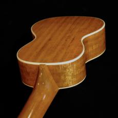 NOSTALGIA  NS-3M - Vintage Honduran Mahogany_6