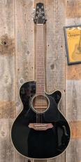Takamine FPT561C BL 【無金利分割OK】_2