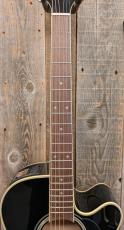 Takamine FPT561C BL 【無金利分割OK】_6