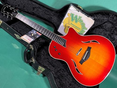 Taylor T5S