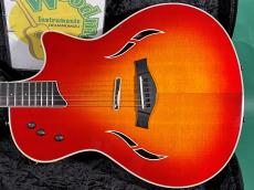 Taylor T5S_2