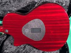 Taylor T5S_3