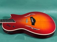 Taylor T5S_4