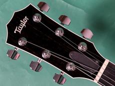 Taylor T5S_5