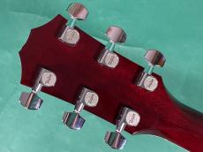 Taylor T5S_6