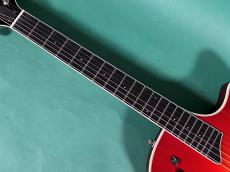 Taylor T5S_7