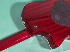 Taylor T5S_9