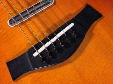 Taylor T5S_10