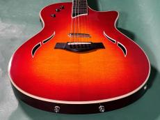 Taylor T5S_11
