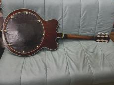 Gretsch Country Gentleman _9