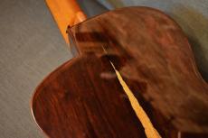 aNueNue M Phoenix Rising【USED】_13