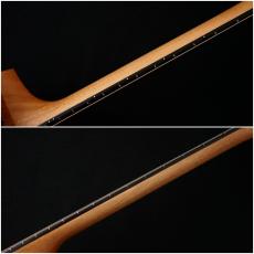Taylor 214ce Plus 【現物動画あり】【48回無金利】【トリファイドスプルース】【細目ネック】_9