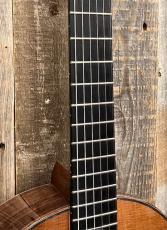 Paul McGill  Del Vecchio Style Resonator Ca.1994_4