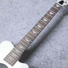 Pignose Limited Edition PGG-JAIL RS【限定モデルが即納可能!!】_3