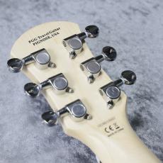 Pignose Limited Edition PGG-JAIL RS【限定モデルが即納可能!!】_8