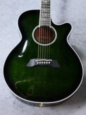 Takamine FPT181AC -SGS- 【アーチトップボディ】