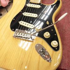 Fender American Professional Stratocaster_5