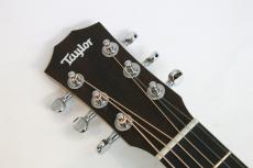 Taylor Baby Mahogany (BT2)_6