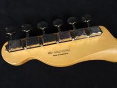Fender Player II Telecaster HH Black_9