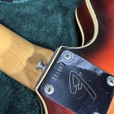 Fender Coronado Ⅱ 1968_8