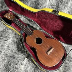 Martin Style-1C 60s_4