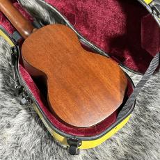 Martin Style-1C 60s_5