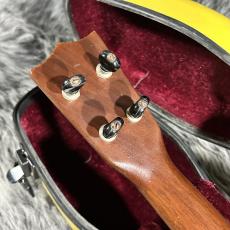 Martin Style-1C 60s_7