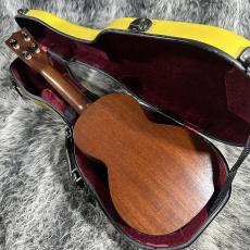 Martin Style-1C 60s_8