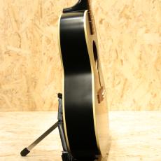 Epiphone Inspired by Gibson L-00 Standard VS_4