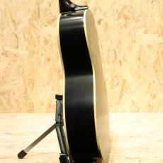 Epiphone Inspired by Gibson L-00 Standard VS_5