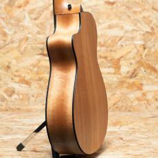 Taylor 112ce_5