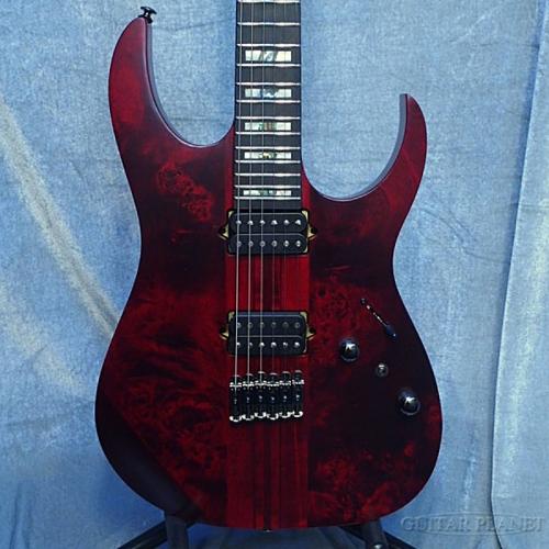 Ibanez Premium Series RGT1221PB -Stained Wine Red Low Gloss-【Jumbo Stainless Steel Frets!】【Thru Neck!!】