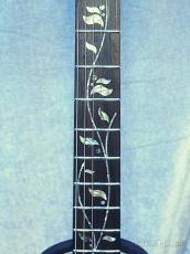 Ibanez j.custom RG8870 -Brownish Sphalerite- Made In Japan_7