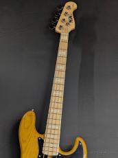 FUJIGEN NJB100MBAH -Vintage Natural-_5