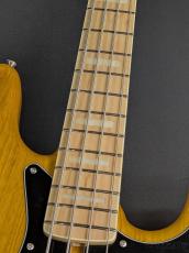 FUJIGEN NJB100MBAH -Vintage Natural-_6